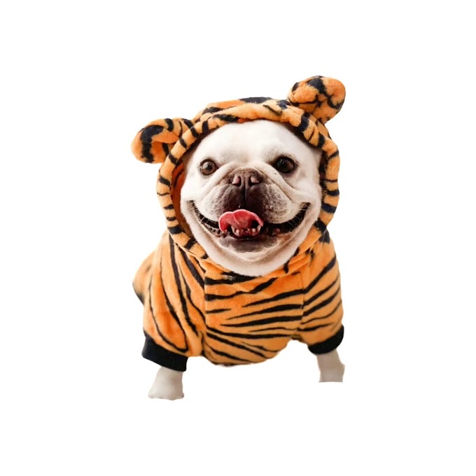 Ropa de Tigre para gato o perro