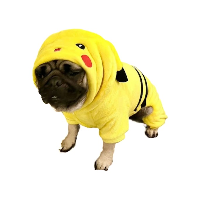 Ropa de Pikachu para Perro o Gato
